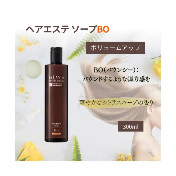 La CASTA（ラ・カスタ） プロフェッショナル ヘアエステ ソープBO