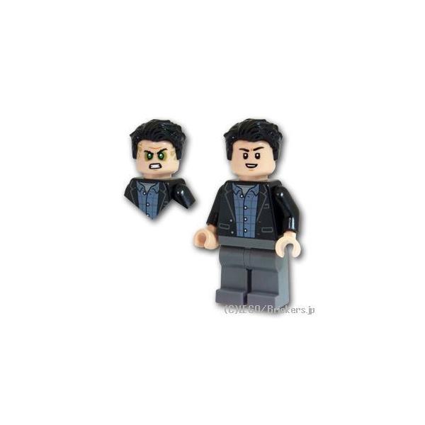 レゴ スーパー・ヒーローズ ミニフィグ ブルース・バナー - ハルク |LEGOの人形