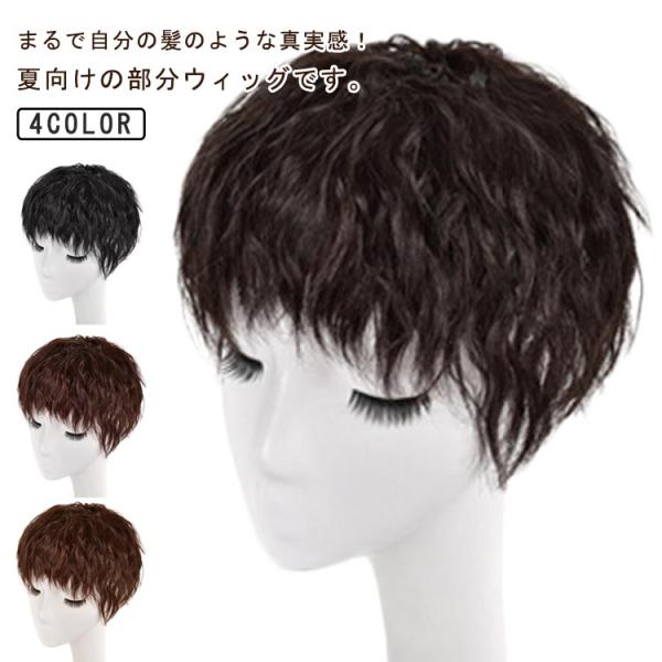 ポイントウィッグ ウィッグ かつら トップカバー ヘアピース エクステ 部分ウィッグ 頭頂部 ウェーブ 自然 ナチュラル つむじ付き 4カラー クリッ