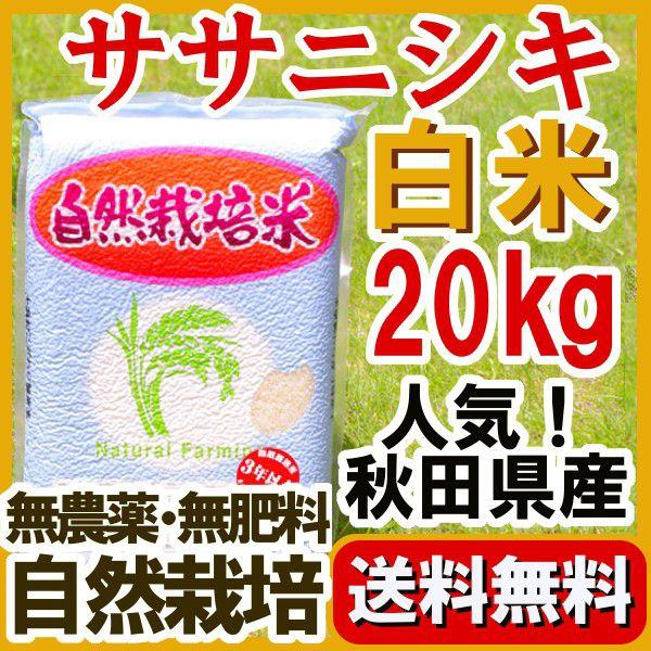 『無農薬ササニシキ 白米 20kg 』2025年産 真空パック 5kg×4　長期保存用の備蓄米として 自家採種米 秋田県大潟村：石山農産