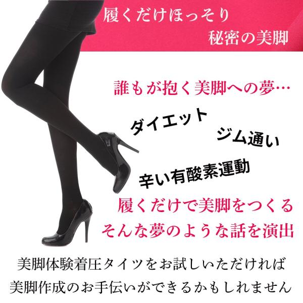 ランキング1位 着圧タイツ 着圧 タイツ ソックス 暖かい レディース ストッキング 美脚体験 脚が細くなる マイナス ダイエット 足痩せ グッズ Buyee Buyee 日本の通販商品 オークションの代理入札 代理購入