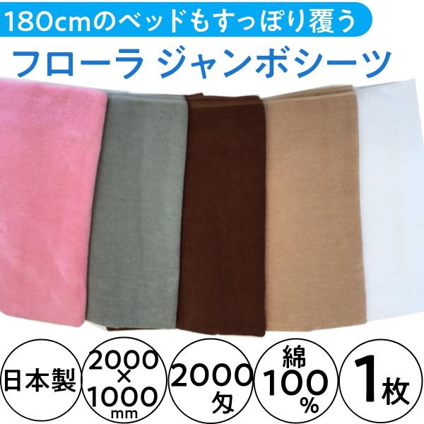 }bg𕢂2m { W{V[c 2000 1000mm×2000mm 1 100 t[/FLORA ^I }bT[W @  Ɩp