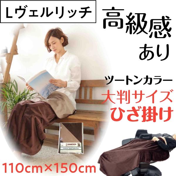  c[gJ[  Ђ| 唻 uPbg G| { Fb`L t[ C[WAbv Ђ e@ GXeT