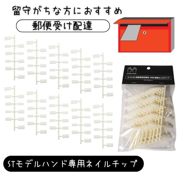 JNEC公式認定モデルハンド ネイルチップ10セット以上 滝川 全国送料無料 郵便受け配達 JNEC認定 STモデルハンド専用