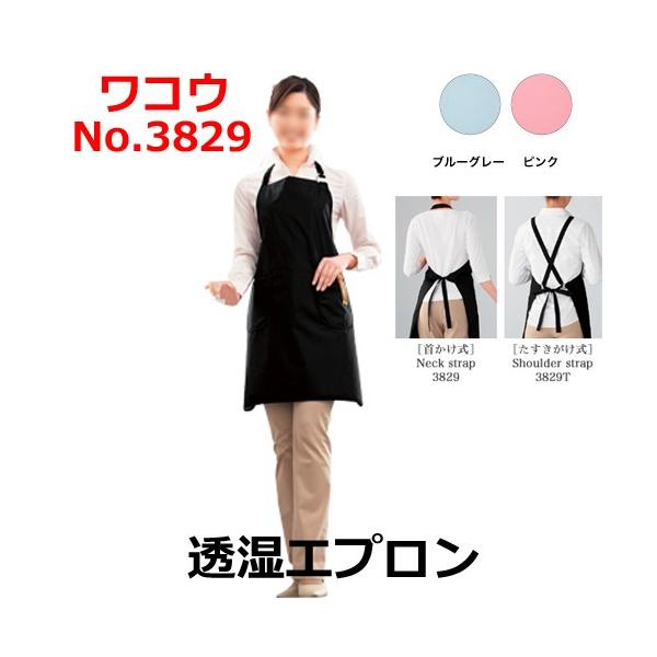 RE@Sh@Gv@iC100@y@KȍƗpGv@e@WAKO