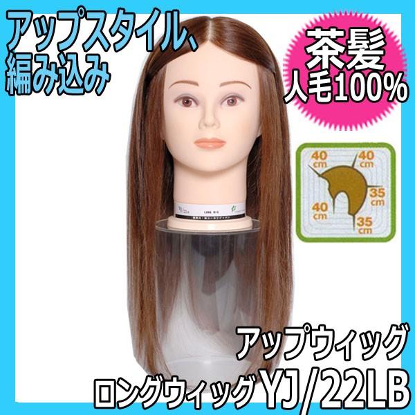 ロングウィッグ 人毛100 茶髪 Yj 22lb ロングウィッグ 編み込み アップスタイル パーティーヘアーのヘアアレンジ練習に K 067 ブライト Yahoo 店 通販 Yahoo ショッピング