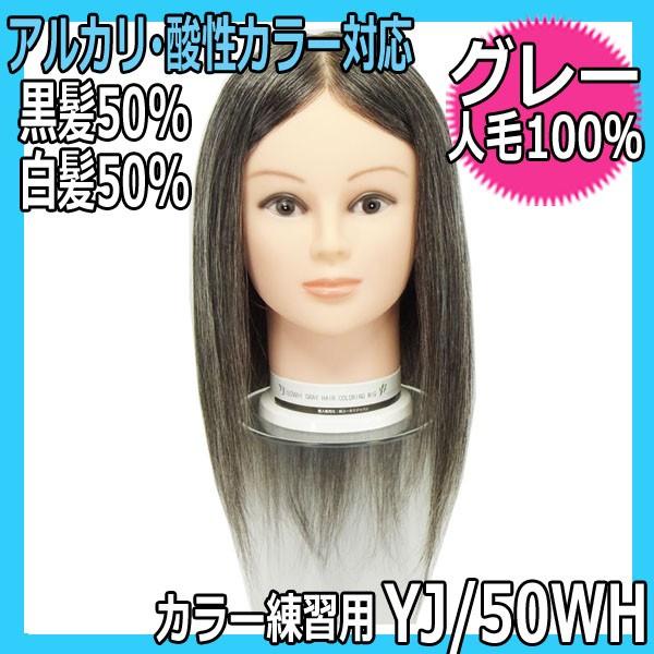 美容師 カラーリング練習 ウィッグ グレーヘアー 白髪混じり 人 美容師 カラーリング練習 ウィッグ グレーヘアー 白髪混じり 人