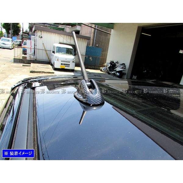 BRIGHTZ eKNX 34 35 37 38 AJ[{ bLAeiJo[ ANTENNA|044