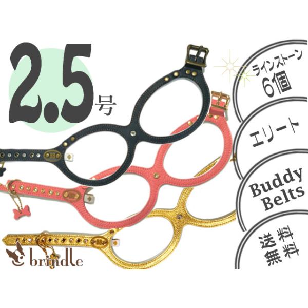 バディーベルト 2.5号 ストーン（6個）付き エリート BUDDY BELTS