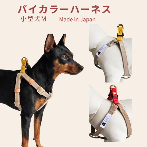 ハーネス 犬 胴輪 小型犬 M おしゃれ マスタード×ベージュ レッド×ベージュ 日本製 丈夫 倉敷製 帆布 安心 安全 高品質 手洗い プレゼント