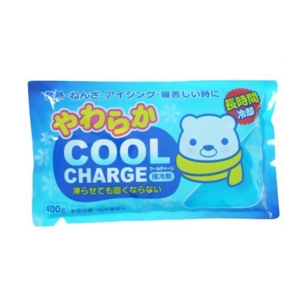 紀陽除虫菊 保冷剤 やわらかクールチャージ ４００ｇ