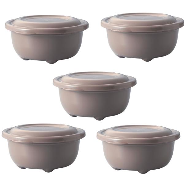 タケヤ化学工業(Takeya) レンジでふっくらごはん 5個組 250ml ベージュ 日本製 食洗機対応 冷凍 冷蔵庫 106910