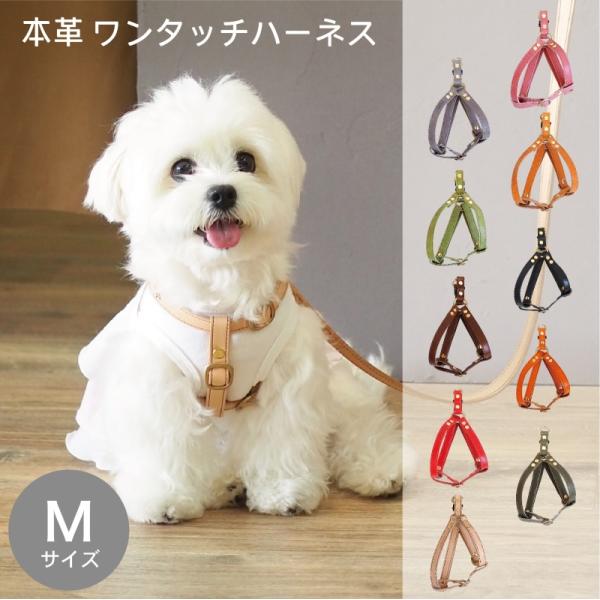 ペット用ハーネス（M）栃木レザー モストロレザー ヌメ 日本製 : 革