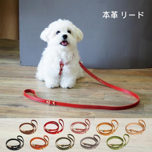 ペット用リード 栃木レザー モストロレザー ヌメ 日本製 : 革雑貨のお