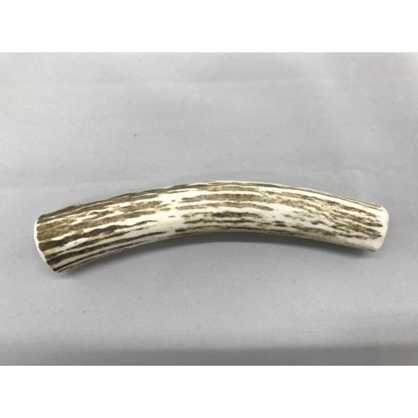 yizG] Ag[  `G]p` MTCY@