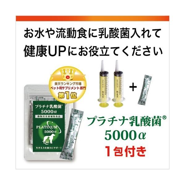 シリンジ10ml 3本セット 動物 犬 猫 ペット用品 介護 注射器 ニプロ スポイト Buyee Buyee Japanese Proxy Service Buy From Japan Bot Online