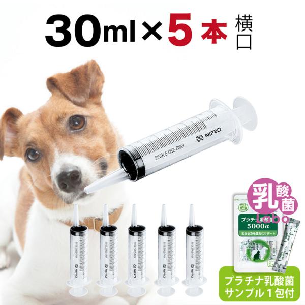 シリンジ50ml (5本セット)動物 犬 猫 ペット用品 介護 注射器 ニプロ スポイト :nipro-50ml:乳酸菌ラボ - 通販 - Yahoo!ショッピング シリンジ50ml (5本セット)動物 犬 猫 ペット用品 介護 注射器 ニプロ スポイト :nipro-50ml:乳酸菌ラボ - 通販 - Yahoo!ショッピング