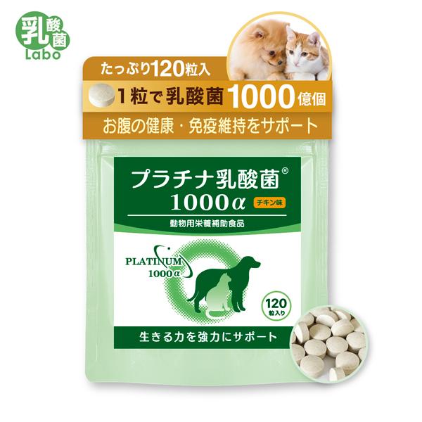 NEW! プラチナ乳酸菌1000α (粒)タイプです。【プラチナ乳酸菌1000αの特徴】★プラチナ乳酸菌1000αは特許製法でナノ化された体内吸収率を高めた加熱殺菌乳酸菌です。★１粒で1000億個以上の菌数を含有しており、少量で健康的に過ご...