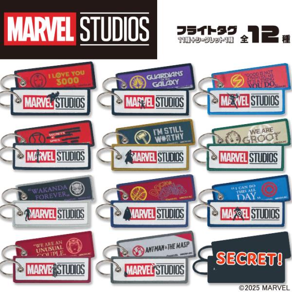 マーベルスタジオ フライトタグ MARVEL マーベル ディズニー キャラクター グッズ プレゼント