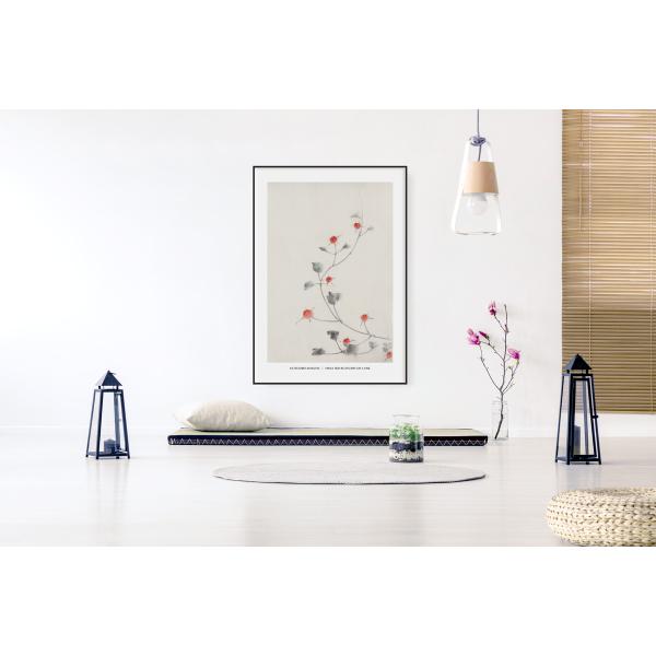 broomin_ap214_2_d_20230723143720