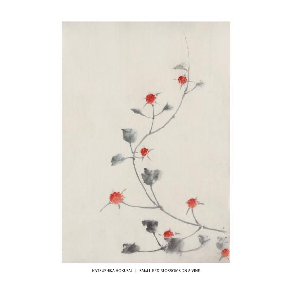 broomin_ap214_4_d_20230723143723