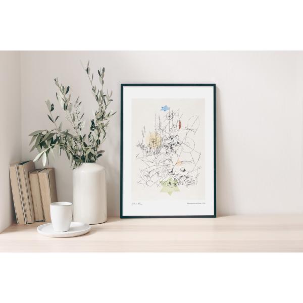 broomin_ap264_1_d_20230616160534