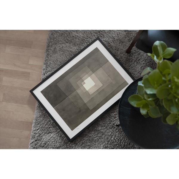 broomin_ap299_1_d_20240324164007