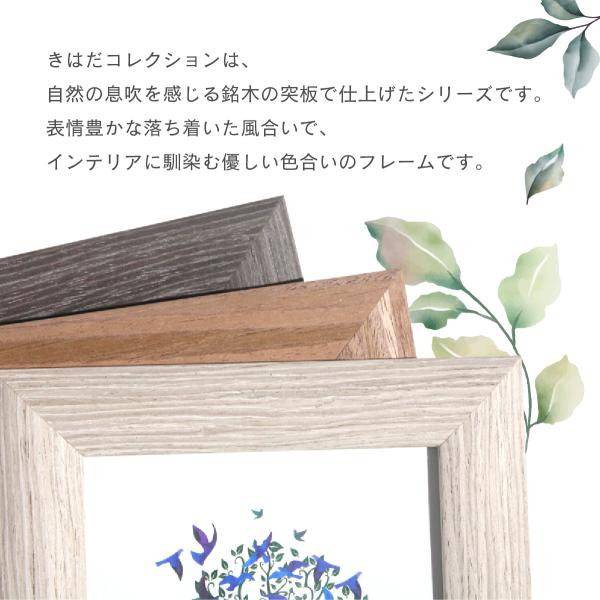 broomin_ar-khd-r-b5_2_d_20231012014228