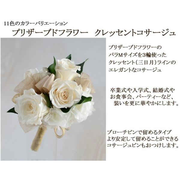 プリザーブドフラワー コサージュ 手作りキット クレッセントコサージュ Baldygamichal Info