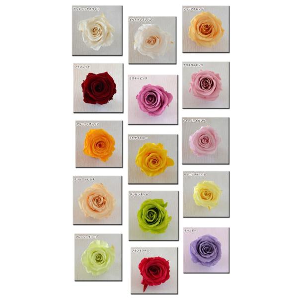 【 用途・商品詳細・お取り扱いについて 】●こんな時にプラス！！クリスマスプレゼント・お誕生日祝い・ご結婚祝い・ご出産祝い・新築祝い・入学卒業・進級・還暦・お見舞い・普段使いのプレゼントなど、玄関・リビング・オフィスのインテリアにも。●花材...