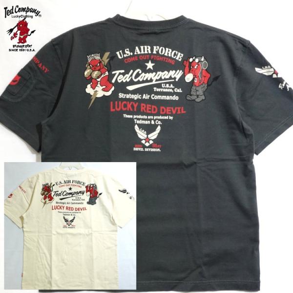 テッドマン TEDMAN半袖Tシャツ TDSS-578 U.S.AIR FORCE アメカジ バイカー