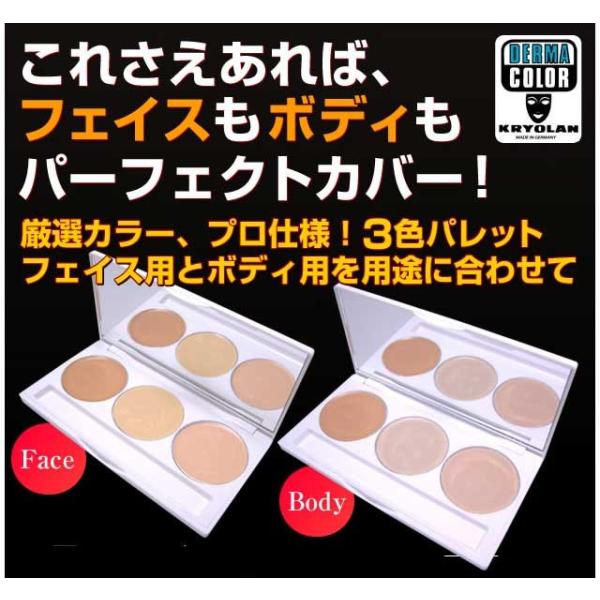 自然にカバーしてくれるコンシーラー ダーマカラーパーフェクトコンシーラーパレット
