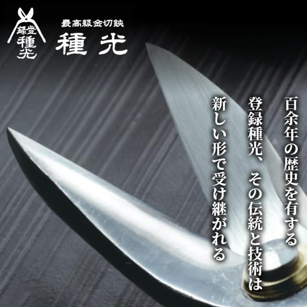 種光 究極鋼材ZDP189 柳刃 240mm 通常グリップ 高硬度 最高級金切鋏