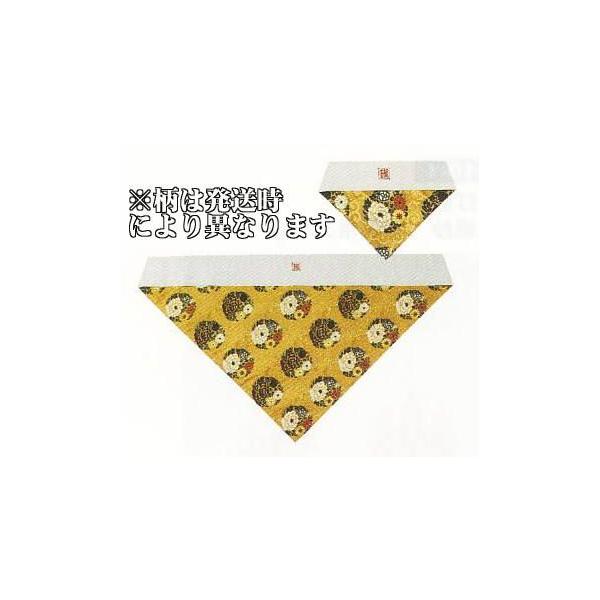 ŕ~ Opŕ~  E 50t 42 ws É pt iɐ^@pj e@h ʔN  hp