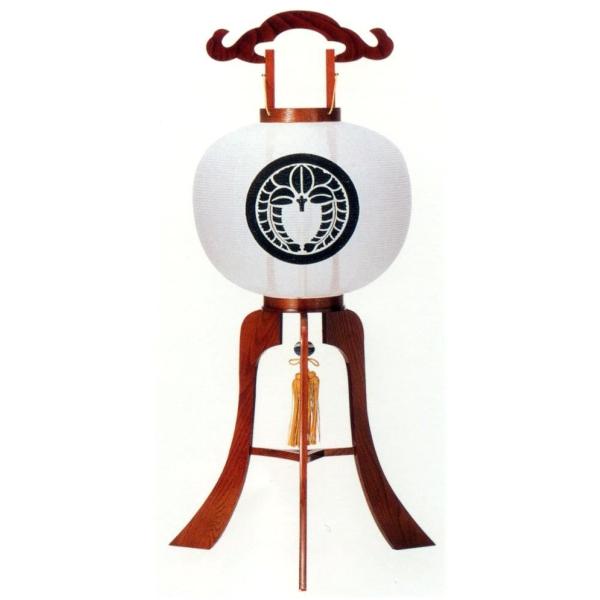 ~񓔂₫12 Ɩ i1΁jʕdi 