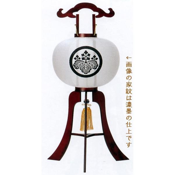 ~񓔂璲14 Ɩ 1Γ Ɩ  ؐ قg F CF 傫ڃTCY ~傤 ~ Npgp\ ~