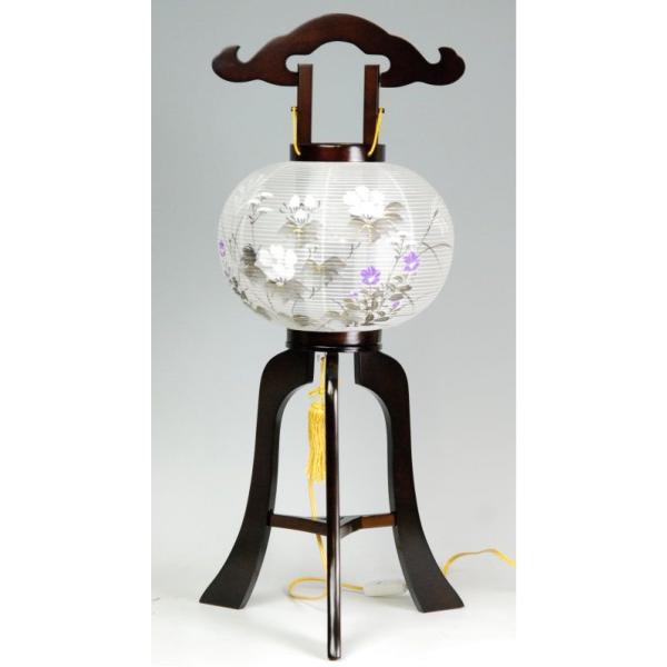 ~傤 ] MO1 ؐ  9hF ^ ~