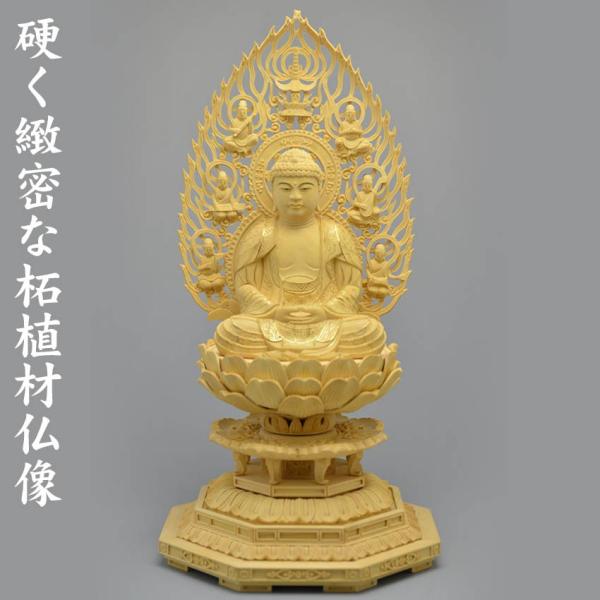   ѐA ij p 3.0 Vw  Diłjd { ؒ