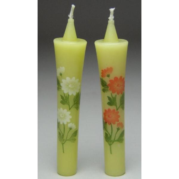 GE\NuԌv2{ [\NE낤EXC /E\N_Lh__ԕ_i_Mtg__pi__I_~I