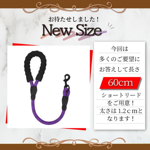 btstoreosk_plead_1_d_20240709152127