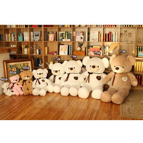 btyamiko_bty-bear-sdx881_5