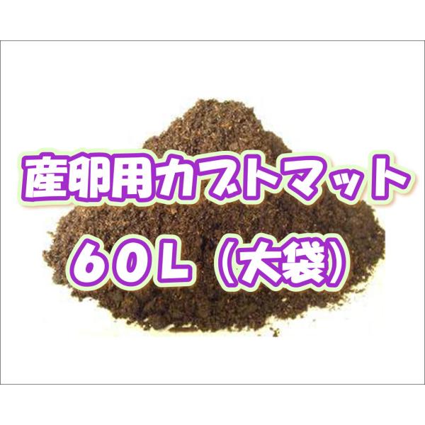産卵用カブトマット60L : ネットショップBuBu - 通販 - Yahoo 産卵用カブトマット60L : ネットショップBuBu - 通販 - Yahoo