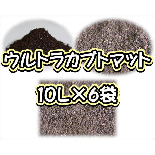 【商品名】ウルトラカブトマット【適用種類】カブトムシ全種（国産・外国産カブトムシの幼虫飼育に特に適しています）成虫：◎　幼虫：☆　産卵：◎【商品説明】完熟発酵のカブトマットに、添加発酵させた朽木(クヌギ・ナラ)を手間暇かけて、しっかりと混ぜ...