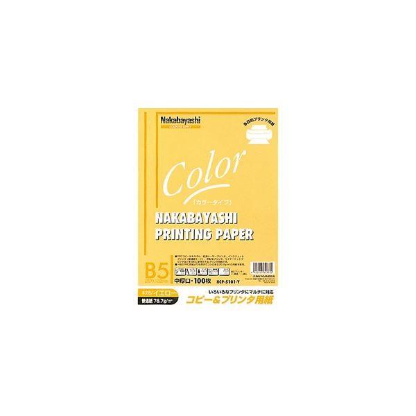 (ƖpZbg) Rs[v^p J[^Cv B5 100 HCP-5101-Yk×20Zbgl[21]