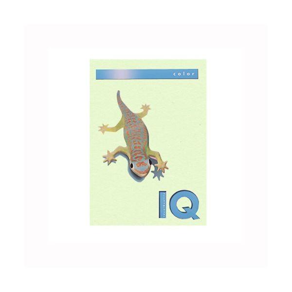 i܂Ƃ߁j ɓ oCIgbvJ[ A4 500 80g^m2 BT505 O[ k×2Zbgl[21]