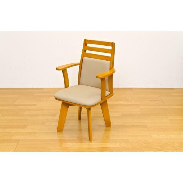 _CjO`FA(]֎q/rO`FA) 1r ؐ nFv/ It BENSON CguE[21]