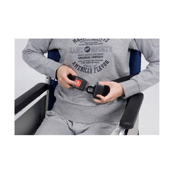 ߗ Ԃp Ԉ֎qV[gxg J[obN^Cv 4017[21]