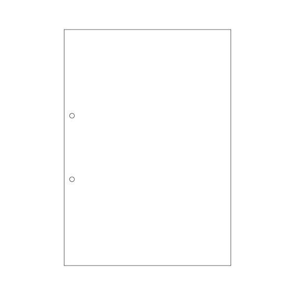 (܂Ƃ) qTS }`v^[[(FSCXєF؎) A4  2 FSC2001 1Zbg(500F100×5) k×2Zbgl[21]