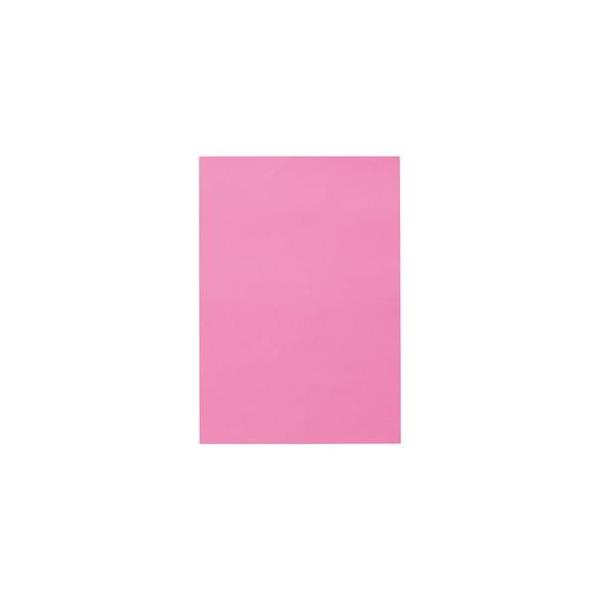 i܂Ƃ߁j TANOSEE Fp l  1pbNi10j k×15Zbgl[21]