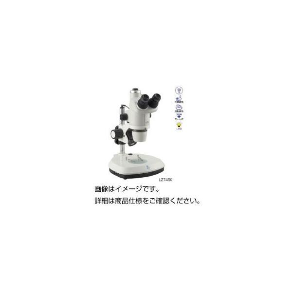 jRY[̌Zbg LZ745K[21]